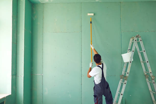 Best Black Mold Removal  in Mulberry, AR