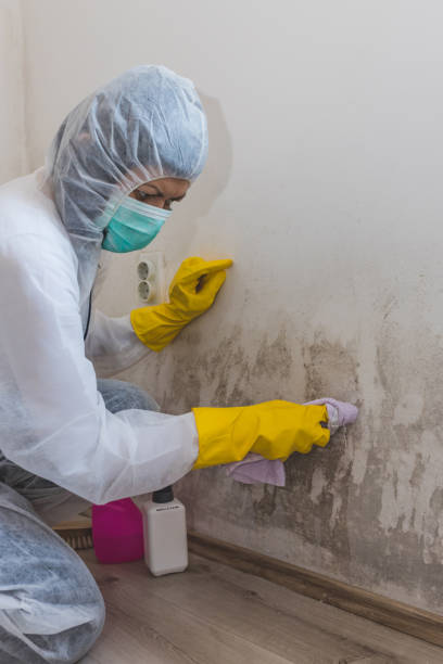 Best Biohazard Mold Removal  in Mulberry, AR