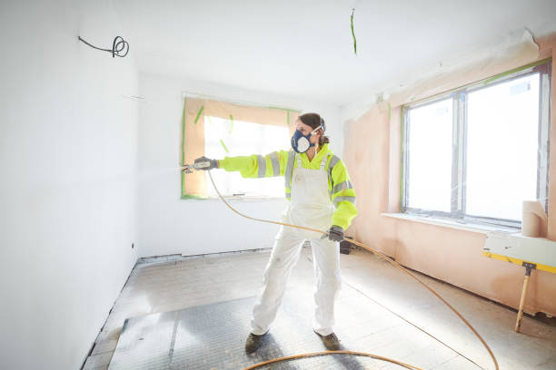 Best Mold Damage Restoration  in Mulberry, AR
