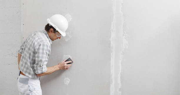 Best Asbestos and Lead Testing During Mold Inspection  in Mulberry, AR