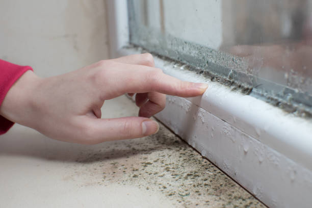 Best HVAC Mold Inspection and Cleaning  in Mulberry, AR