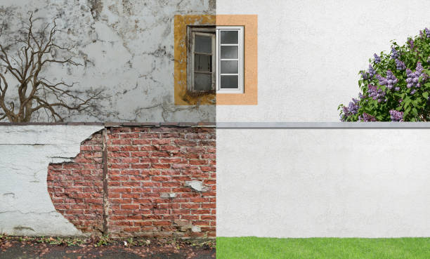 Best Commercial Mold Inspection  in Mulberry, AR