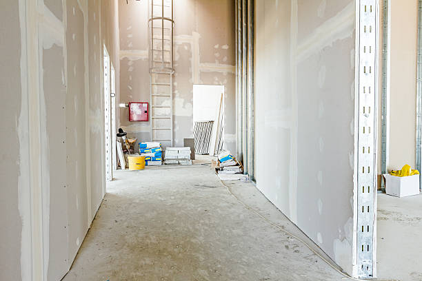 Forensic Mold Investigation in Mulberry, AR